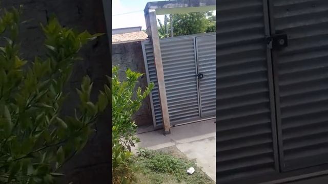 Taekwondo смотреть онлайн