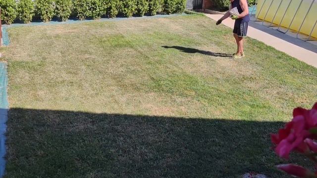 Prato Secco e ingiallito cosa fare? Cause e Rimedi per recuperare un prato danneggiato смотреть онлайн