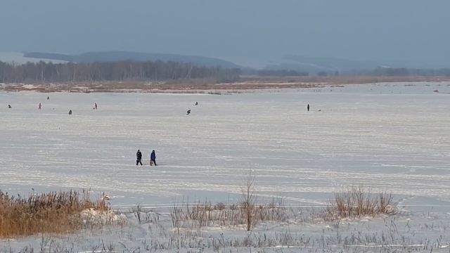 ЗИМНЯЯ РЫБАЛКА - ГДЕ И ЧТО ЛОВЯТ - 18+ #КУРСК ЗИМА 2019 смотреть онлайн