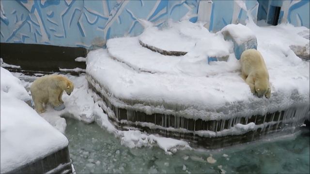 Кай нашёл себе новое занятие 25.03.2021 смотреть онлайн