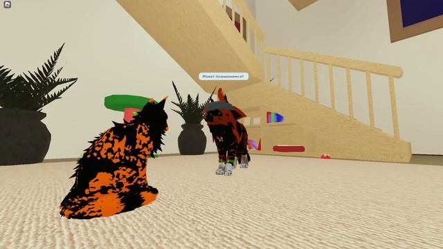 #roblox #warriors #warriorcats смотреть онлайн