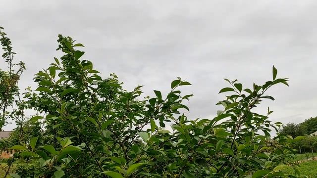 Что делать, если нет сил жить. смотреть онлайн