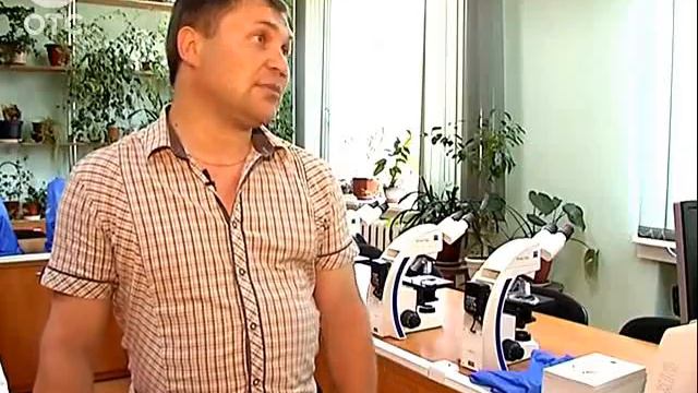 Новосибирск переживает нашествие небывалого количества мошек