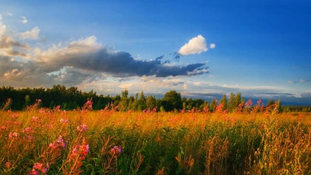 Привет Август