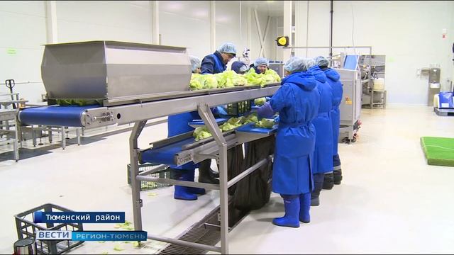 Завод в Боровском создаст восемьдесят рабочих мест смотреть онлайн