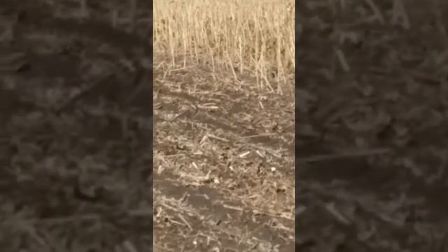 Как я работаю летом смотреть онлайн