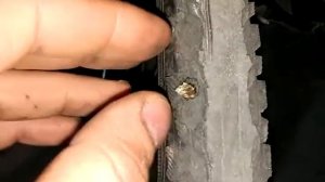 Кавунец в покрышке и герметик