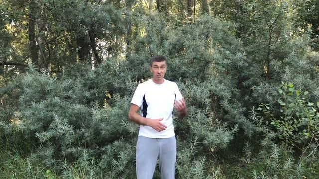 Умения и умение