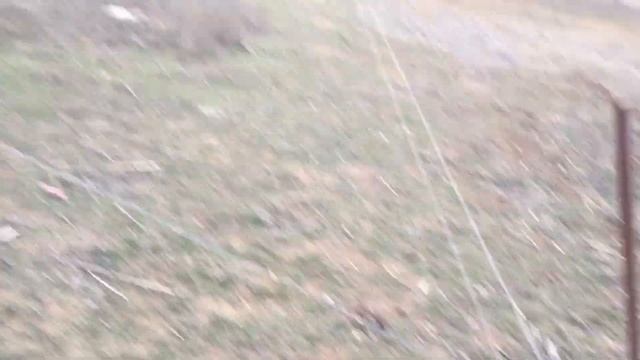 Подкормка маточного поголовья КРС в зимнее время