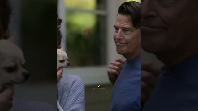 Назвали собаку дерьмокрыса ? #фильм #фильм #film #shorts смотреть онлайн