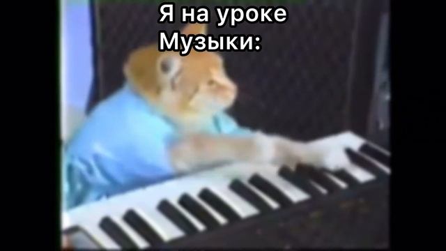 Кот играет на пианино смотреть онлайн