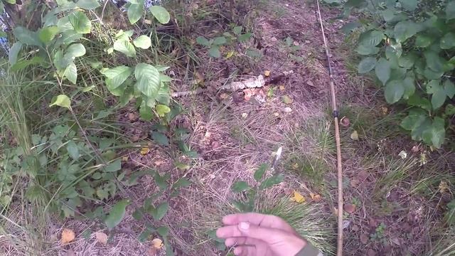 Начинающим рыболовам,удочка для ловли на живца.Видео rybachil.r смотреть онлайн