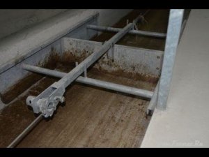 Система навозоудаления в промышленном кролиководстве