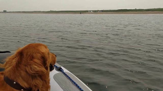 12 августа 2021 г. смотреть онлайн