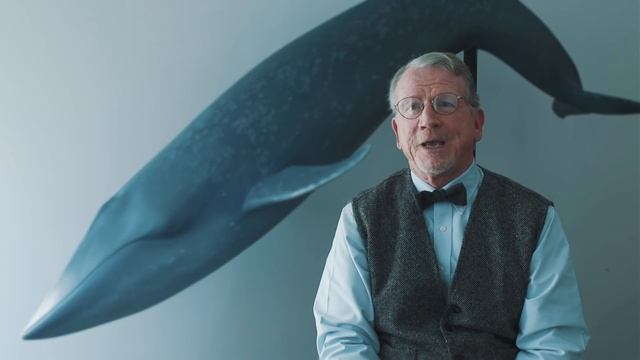 What Color Is a Blue Whale? смотреть онлайн