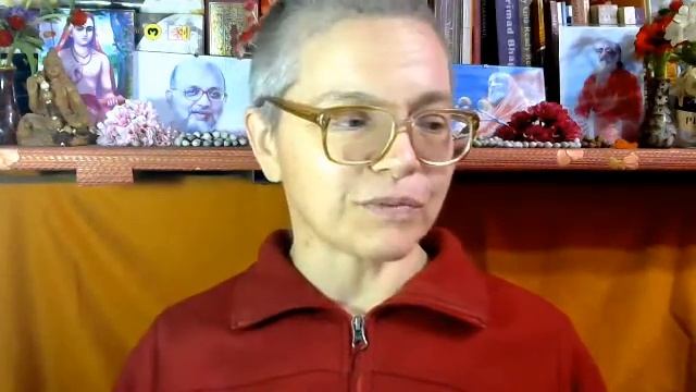 Бхагавад Гита курс Свамини Видьянанды Сарасвати 214 Глава 6 Шлока 32 смотреть онлайн