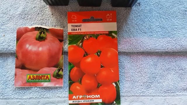 Огурцы F1 Белый Ангел (корнишоны) смотреть онлайн