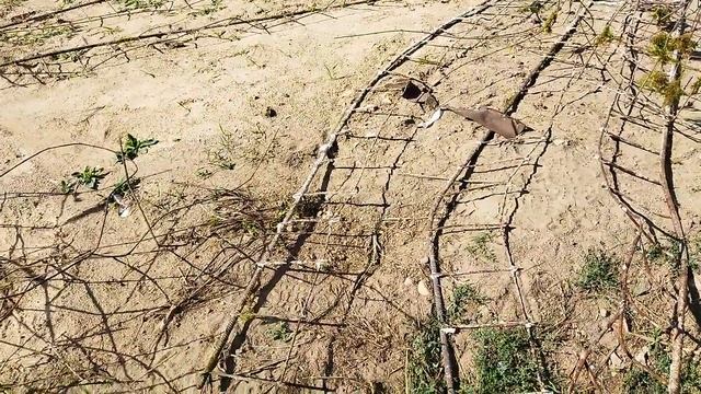 СКОЛЬКО МЕТАЛЛА В П-ОБРАЗНОЙ ПЛИТЕ? Два дня на арматуре смотреть онлайн