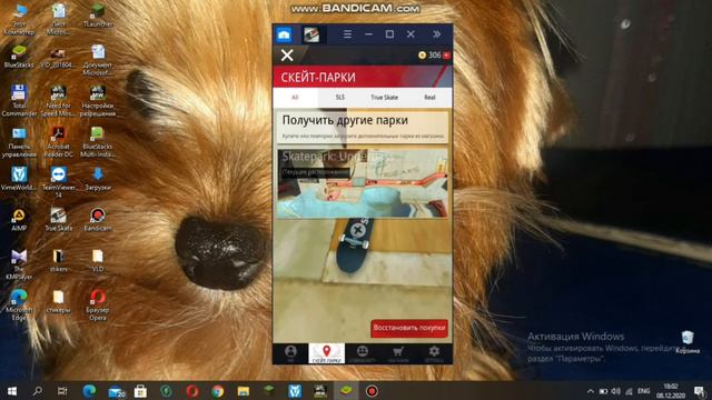 Обзор Игры тру скейт) смотреть онлайн