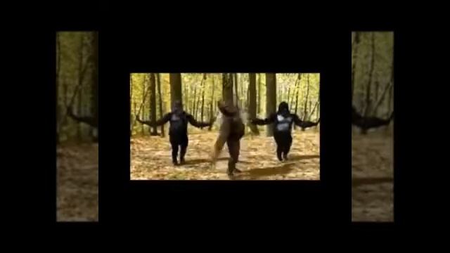 Taj Dance Таджикский танец :) смотреть онлайн