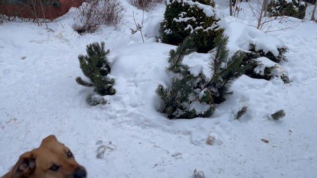 Кушайте, мои хорошие! смотреть онлайн