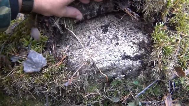 КОСНУТЬСЯ ПРОШЛОГО 2013г смотреть онлайн