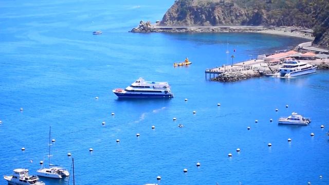 Catalina Island | ОСТРОВ КАТАЛИНА ? #shorts