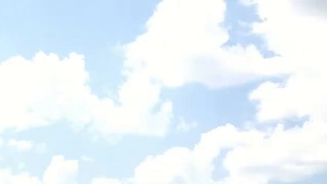 Поляризационный фильтр смотреть онлайн