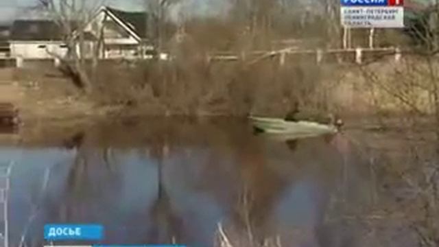 Инспекторам рыбнадзора выдадут табельное оружие смотреть онлайн