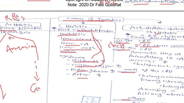 GIT review 8 Jaundice classification Dr Fadi Qutishat 2020 смотреть онлайн