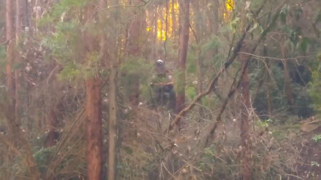 Riding Honda TRX400 Quad Australian Bush Track смотреть онлайн
