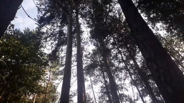 Маленький бурундук смотреть онлайн