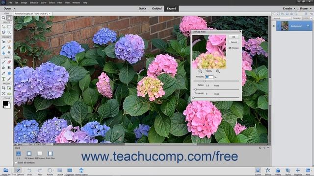 Photoshop Elements 2020 Tutorial Unsharp Mask Adobe Training смотреть онлайн