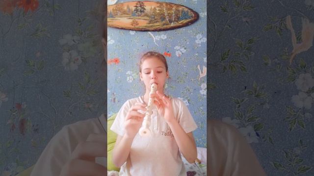 Сурок на блок флейте. смотреть онлайн