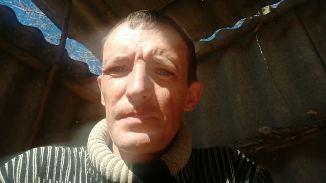 Обзор инкубатора Теплуша Greny 88. Режим инкубации смотреть онлайн