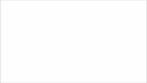 Black and White Flashing Lights 2 hours seizure warning