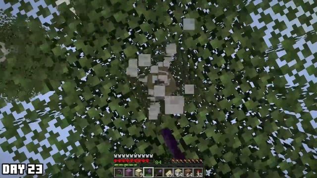 Surviving 50 days on INDIA Island in Hardcore Minecraft смотреть онлайн