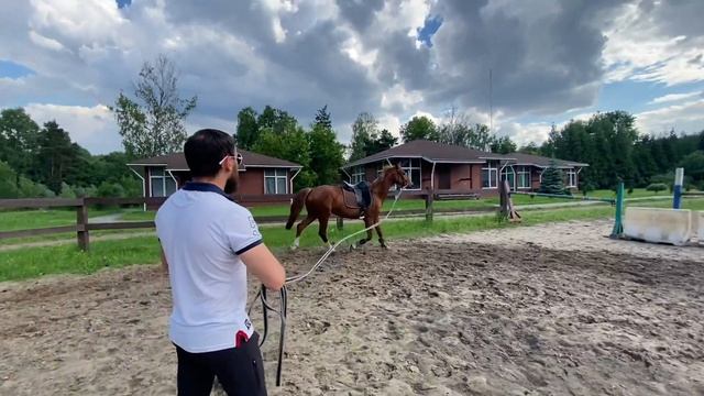 Заездка молодой лошади. Часть 2. Морковь, стремя, седло, нервы)) смотреть онлайн