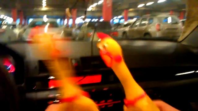 Дикая куропатка Матильда смотреть онлайн