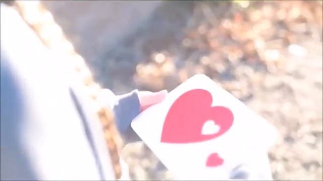 Karolina Protensko VS Allie Sherlock