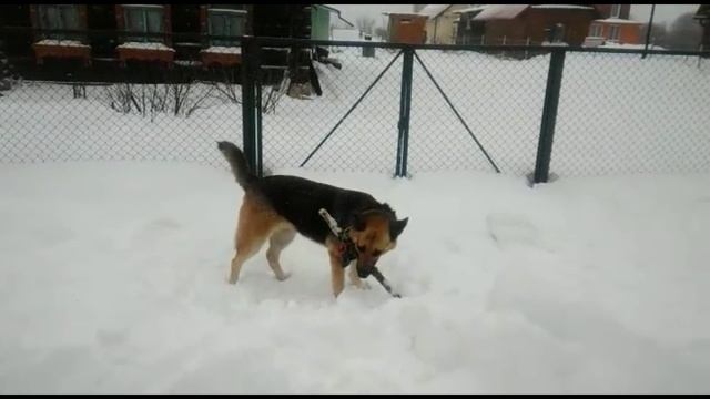 1февраля. Метель. смотреть онлайн