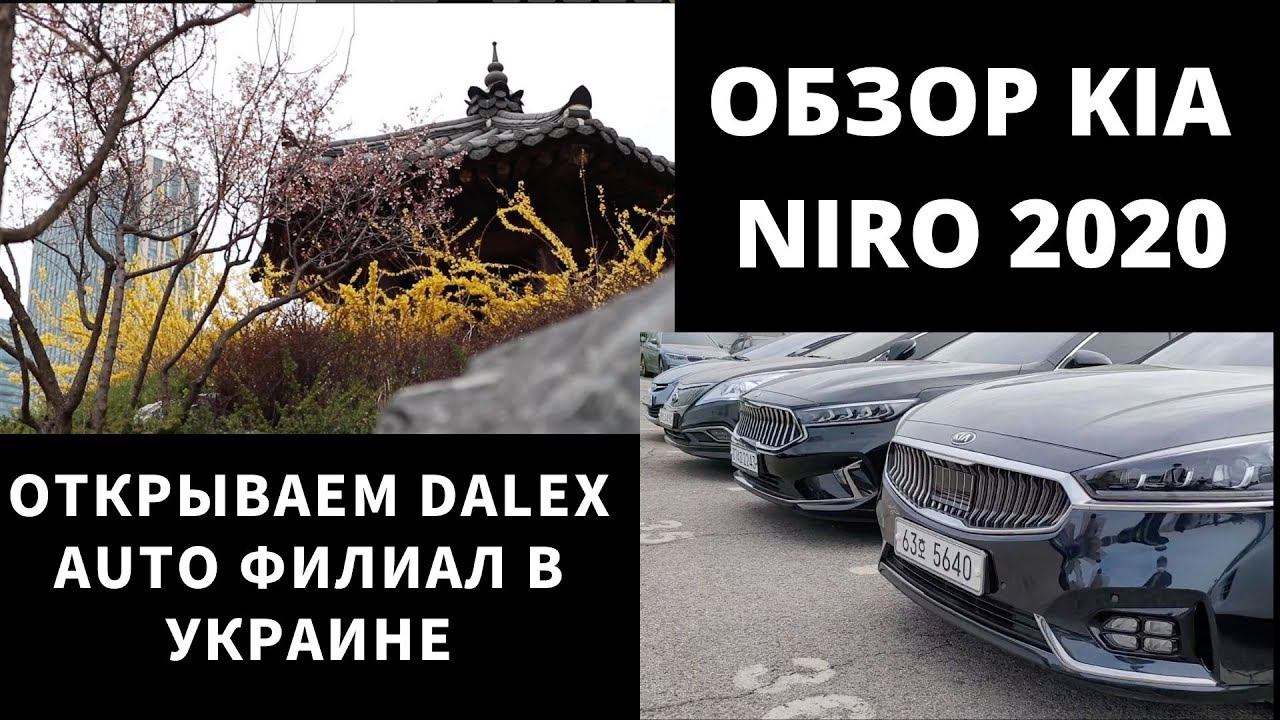 Авто из Кореи. DALEX филиал в Украине. Обзор KIA NIRO 2020 смотреть онлайн