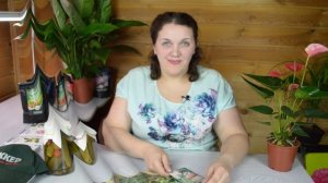 Проверенные сорта огурцов для засолки и маринования