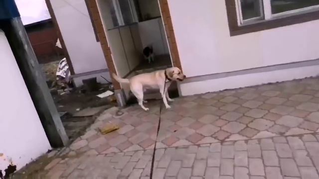 В городе. смотреть онлайн