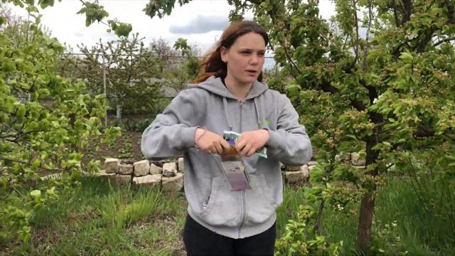 Садим огурцы, дыни и арбузы смотреть онлайн