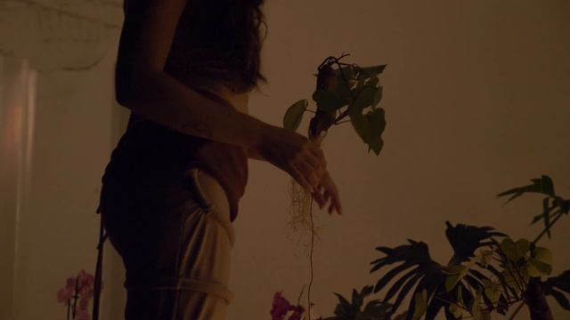 Plant Theremin Performative Installation Biofeedback Sonification Magdalena Hart CCD смотреть онлайн