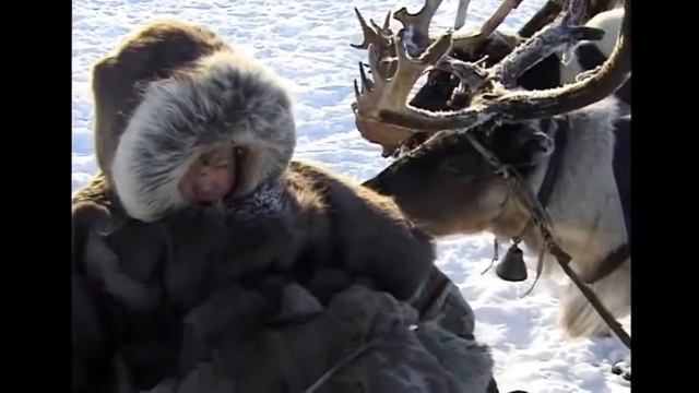 Ненцы// Удивительное путешествие в Тундру по Ямалу смотреть онлайн