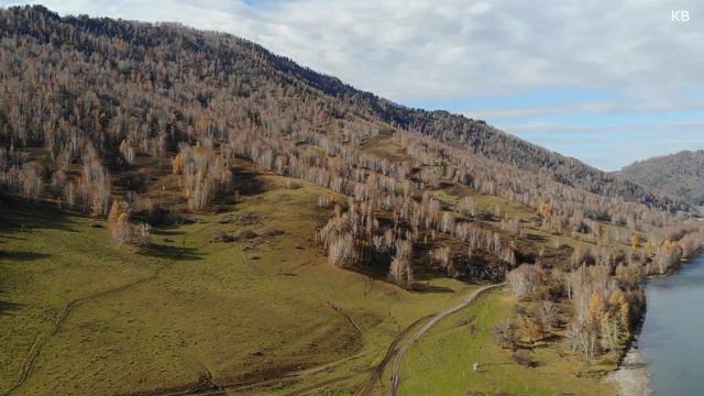 Чарыш осенью ЮТ смотреть онлайн