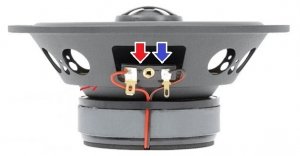 Как определить где плюс а где минус для динамиков??