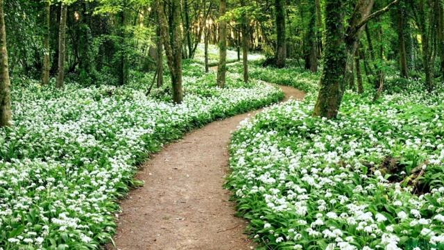 Энергетическая составляющая общественного мнения.